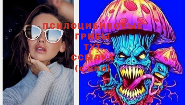 тгк Алзамай