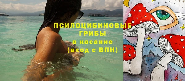 тгк Алзамай