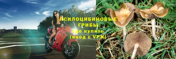 тгк Алзамай