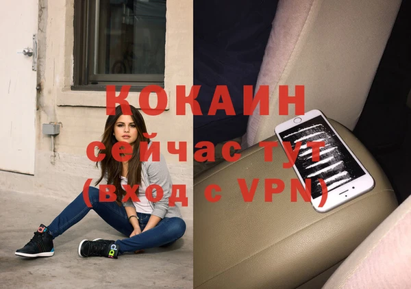 крисы Алексин