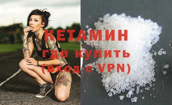 крисы Алексин